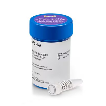 10165948001 MS2噬菌体RNA - ROCHE/罗氏