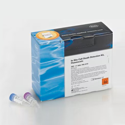 11684795910 原位细胞死亡检测试剂盒，荧光素法 - ROCHE/罗氏