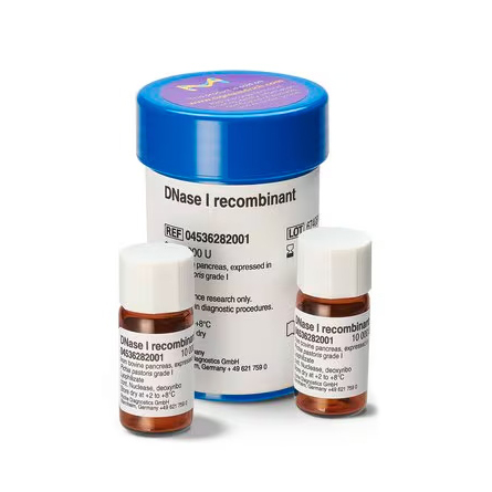 4536282001 重组DNase I，无RNase - ROCHE/罗氏