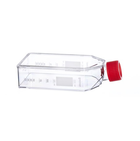 658940 多聚D赖氨酸蛋白预包被培养瓶，75cm²，红色滤盖 - Greiner