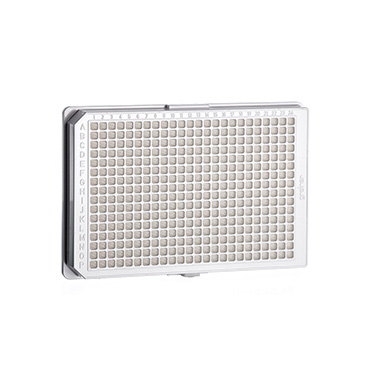 781073 384孔细胞培养微孔板，聚苯乙烯，F型底，TC处理，白色，灭菌，无盖 - Greiner