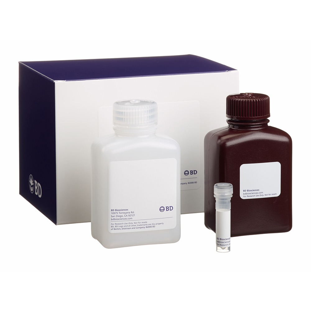 555028 试剂Cytofix/Cytoperm W/GolgiPlug Kit - BD