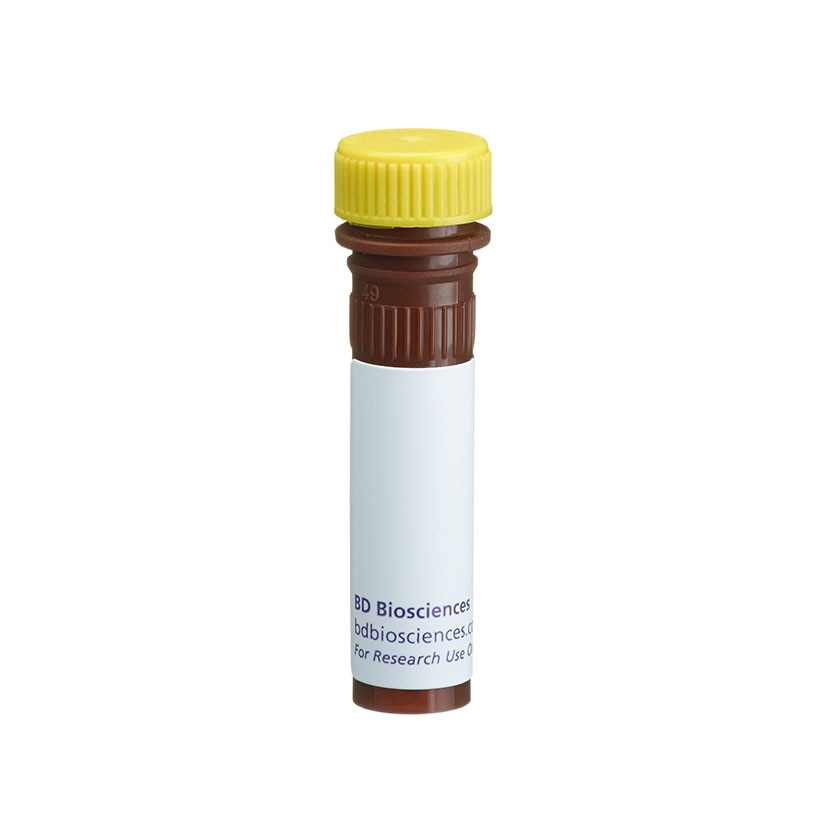 554066 试剂Streptavidin-HRP ELISA - BD