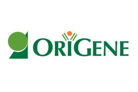 TW000020L HRP快速偶联试剂盒 - OriGene