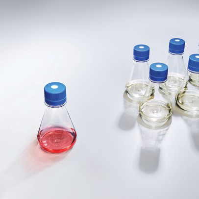 4115-0125 125mL一次性平底锥形瓶 透气盖 - Nalgene