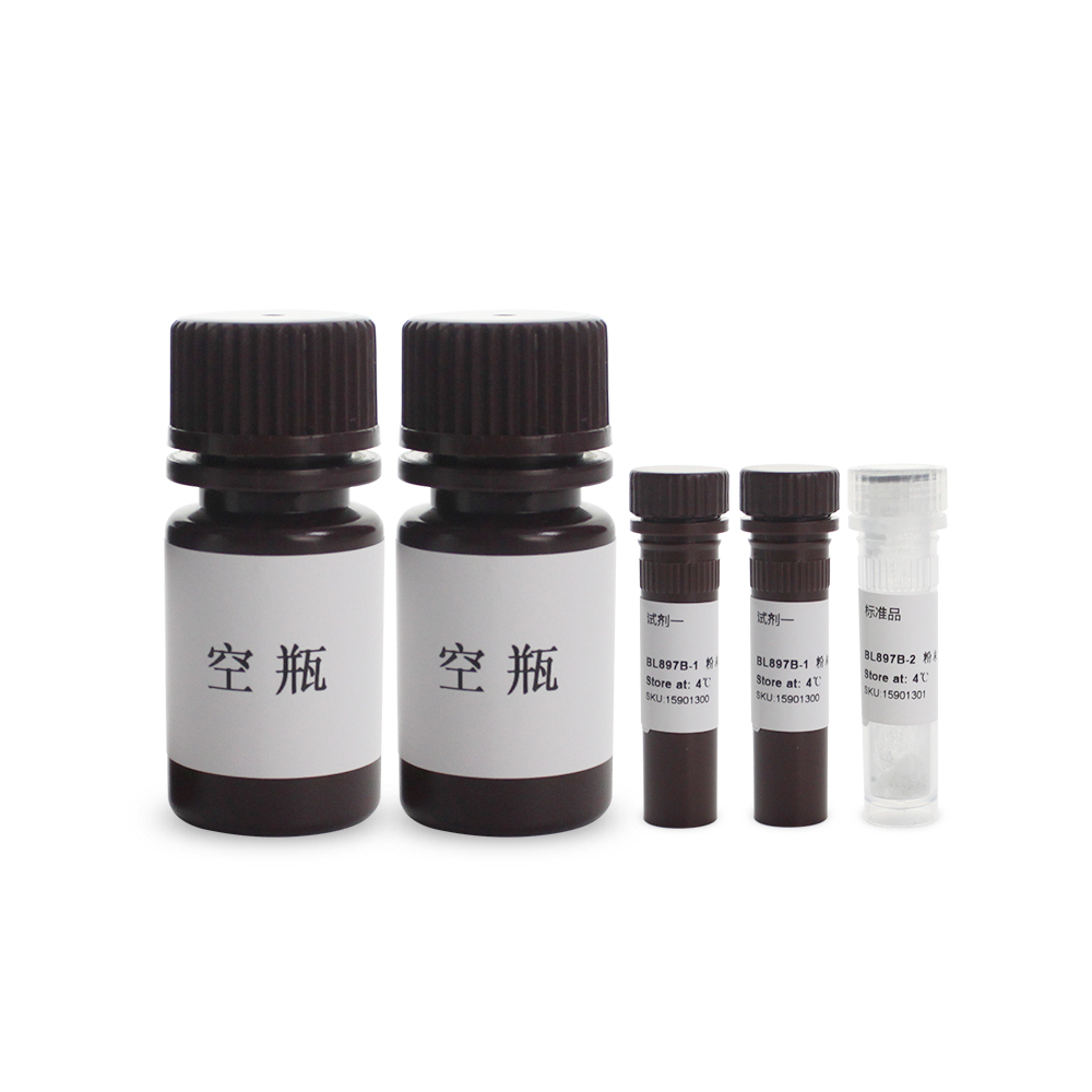 BL897B DPPH清除能力检测试剂盒 微板法 - Biosharp/白鲨