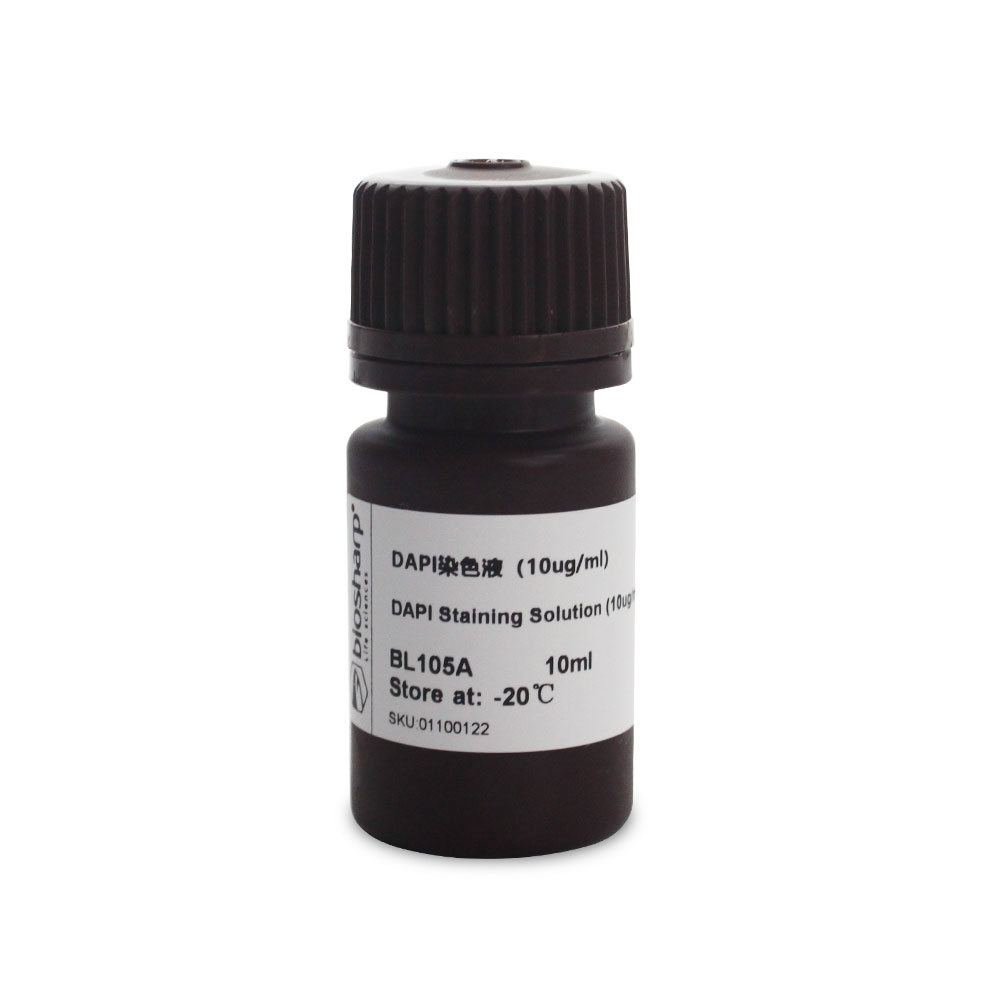 BL105A DAPI溶液（即用型） - Biosharp/白鲨