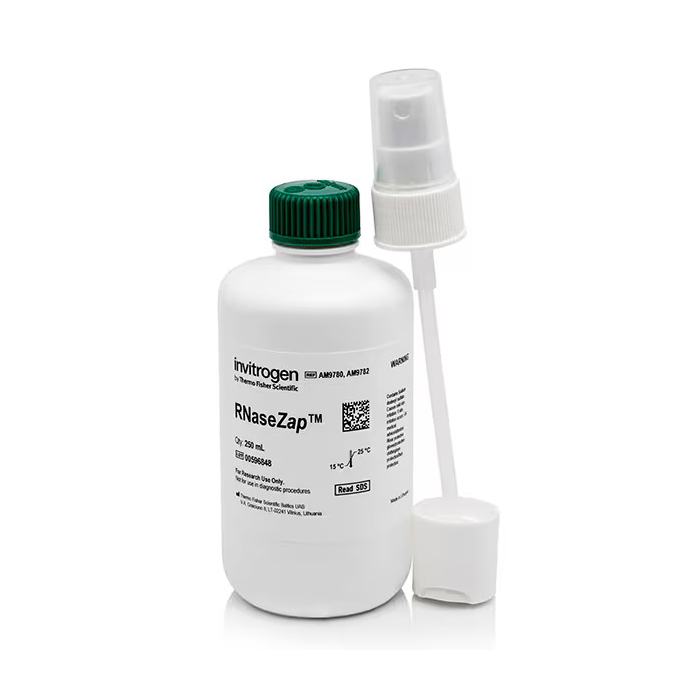 AM9782 RNaseZap RNase 去污溶液 - Invitrogen