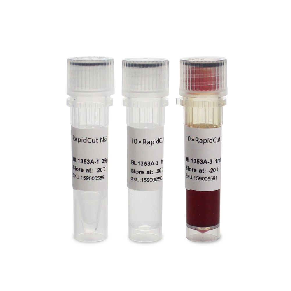 BL1353A RapidCut NsiI 快速限制性内切酶