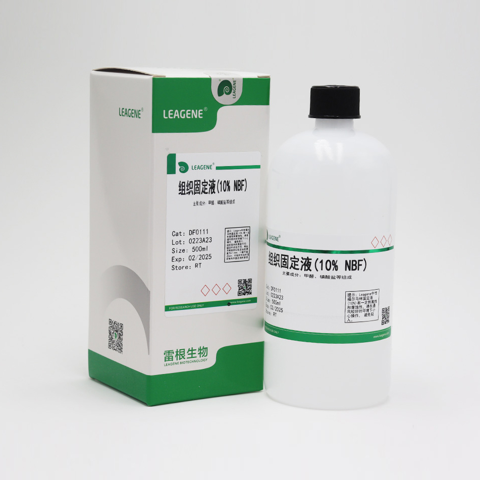 DF0111-500ml 组织固定液(10% NBF) - 雷根