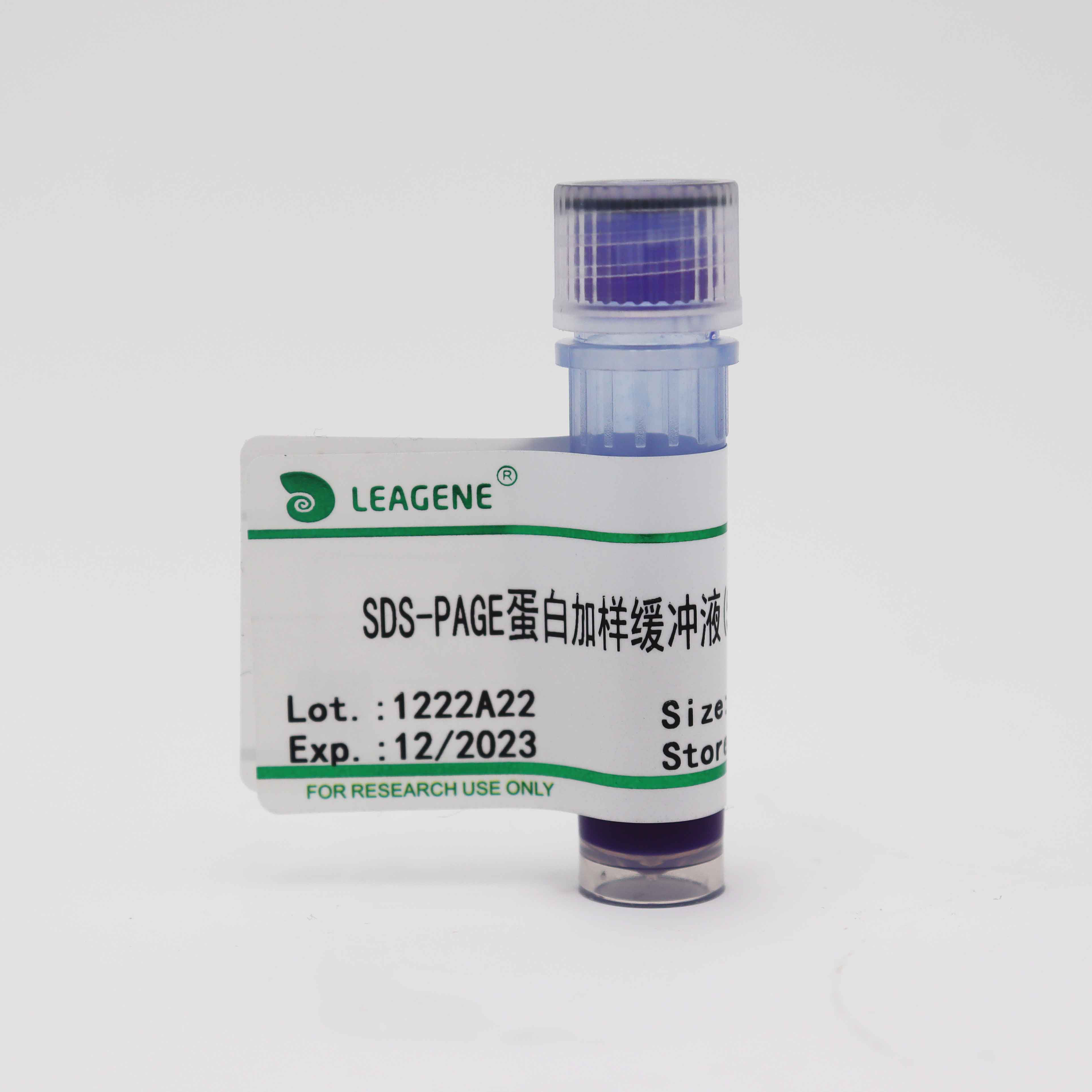 PE0025-5×1ml SDS-PAGE蛋白加样缓冲液(5×,含DTT) - 雷根
