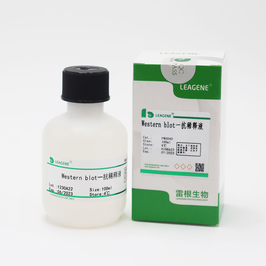 PW0040-100ml Western blot一抗稀释液 - 雷根