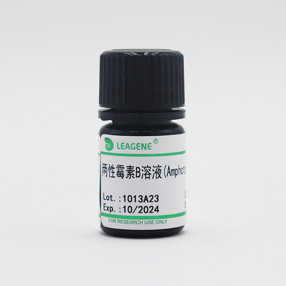 CA0040-5ml 两性霉素B溶液(Amphotericin B,10mg/ml) - 雷根