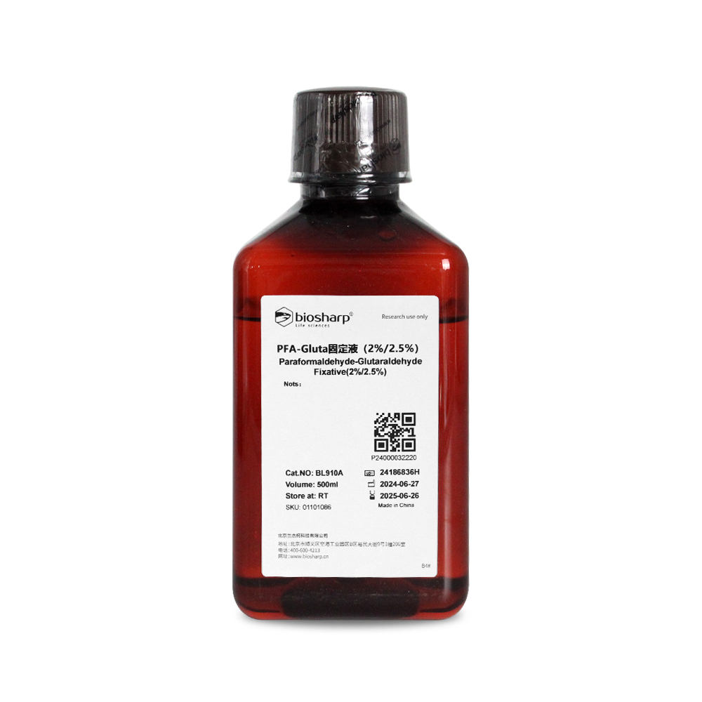 BL910A PFA-Gluta固定液（2%/2.5%）