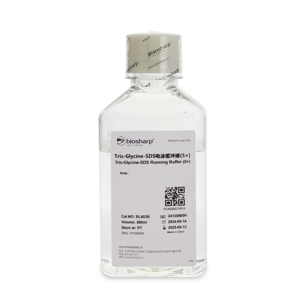 BL603B Tris-Glycine-SDS电泳缓冲液(5×)