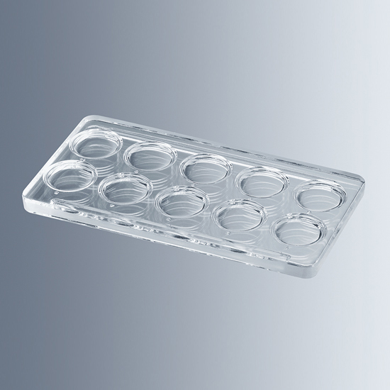 1800001 玻璃板（Boerner款），107 x 57 x 4 mm，10孔，14mmΦ - Marienfeld