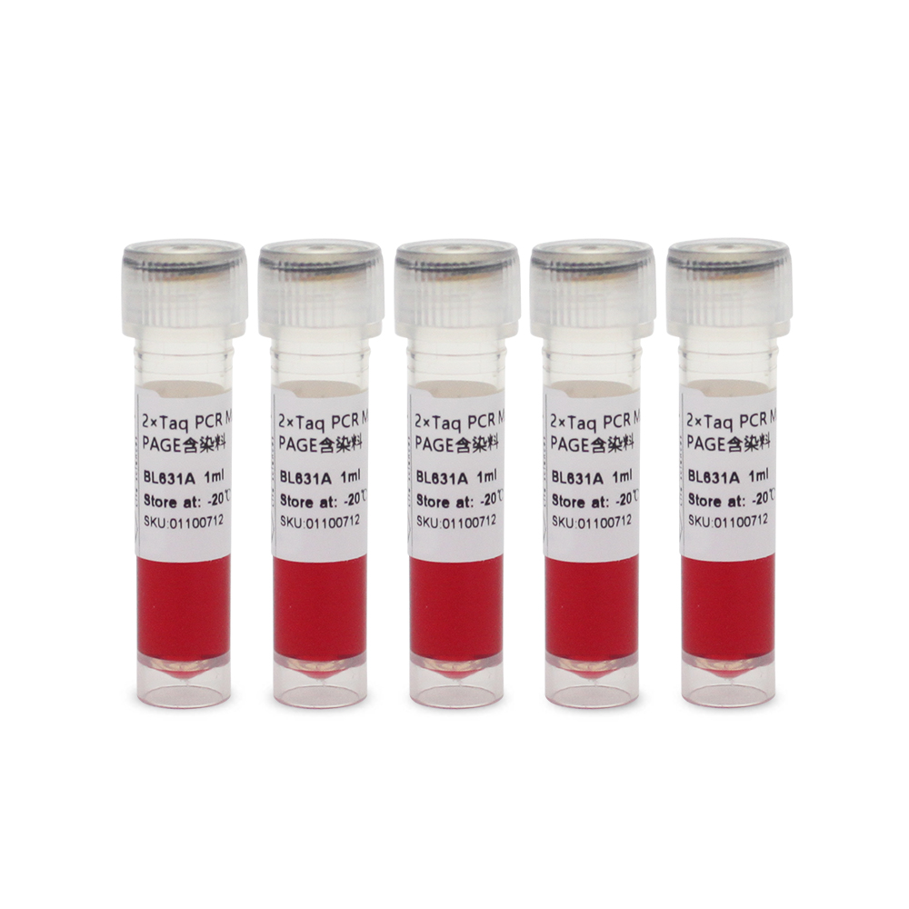 BL631B 2×Taq PCR Master Mix for PAGE含染料