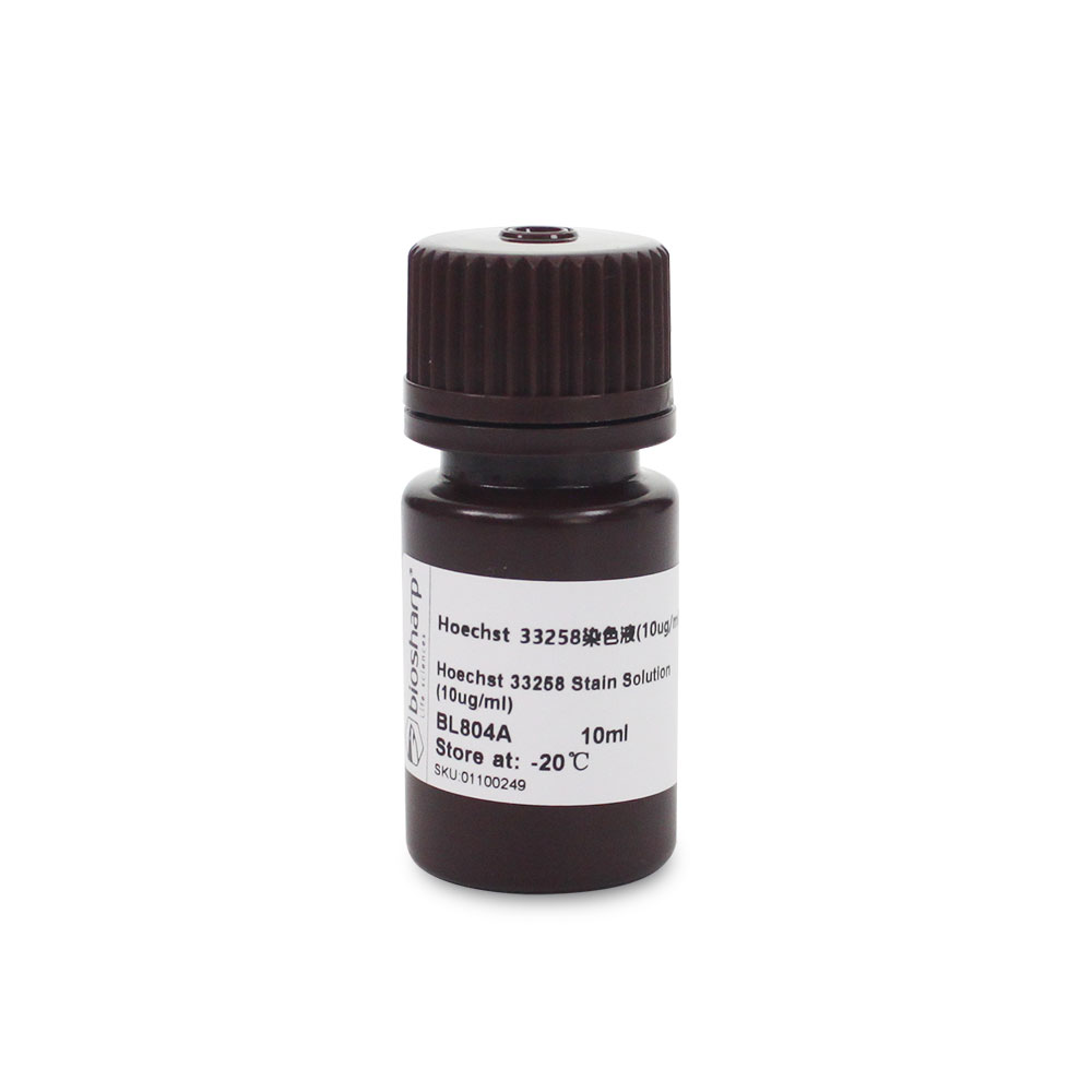 BL804A Hoechst 33258染色试剂 (即用型 10ug/ml） - Biosharp/白鲨