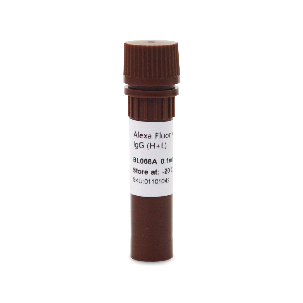BL066A Alexa Fluor 488标记的羊抗小鼠IgG HL