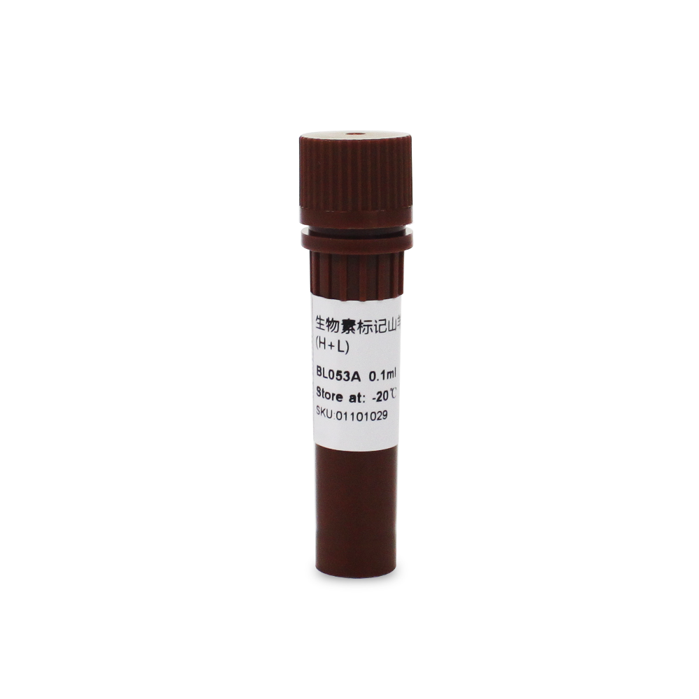 BL053A 生物素标记羊抗大鼠IgG（H+L）