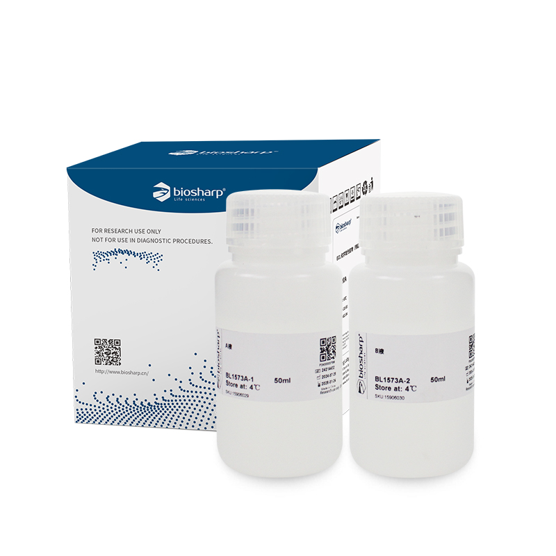 BL1573A 细胞核提取试剂盒 - Biosharp/白鲨