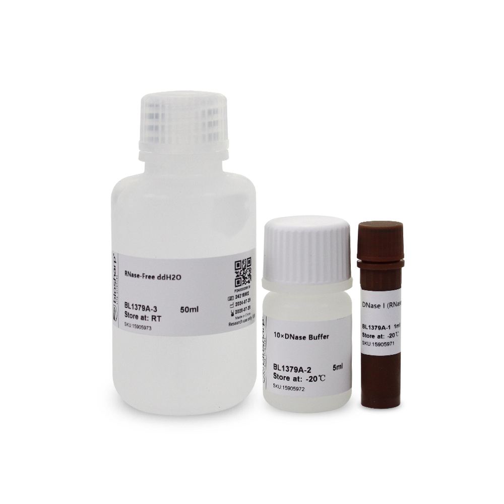BL1379A DNase Ⅰ 溶液(RNase free)