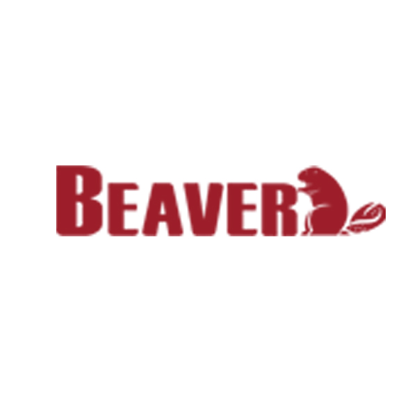 70306-5 二氧化硅羟基磁珠500nm - BEAVER(海狸)