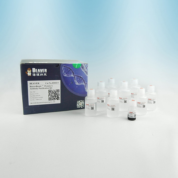 20102-25 Protein A抗体纯化试剂盒 - BEAVER(海狸)