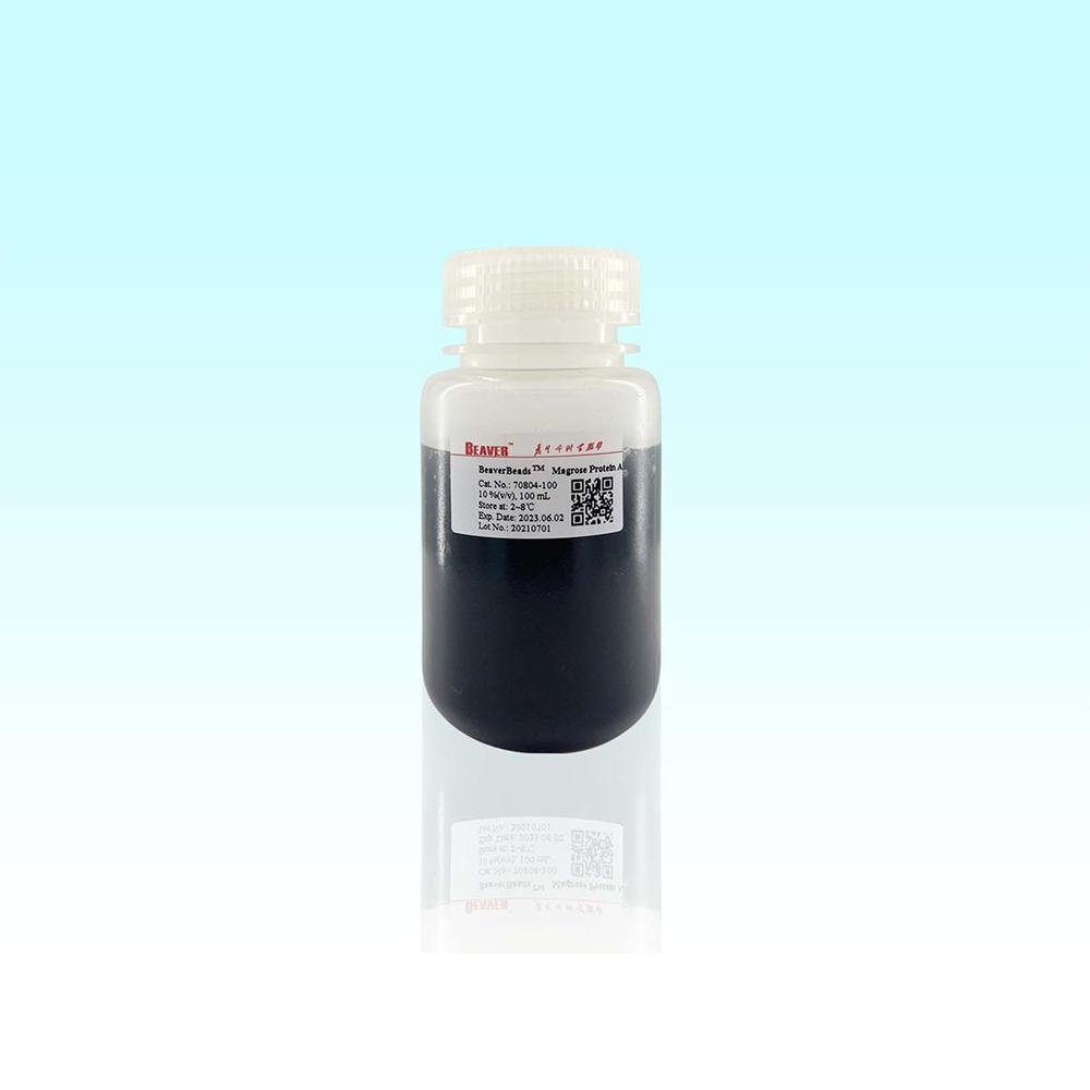 70804-100 Protein A琼脂糖磁珠 - BEAVER(海狸)