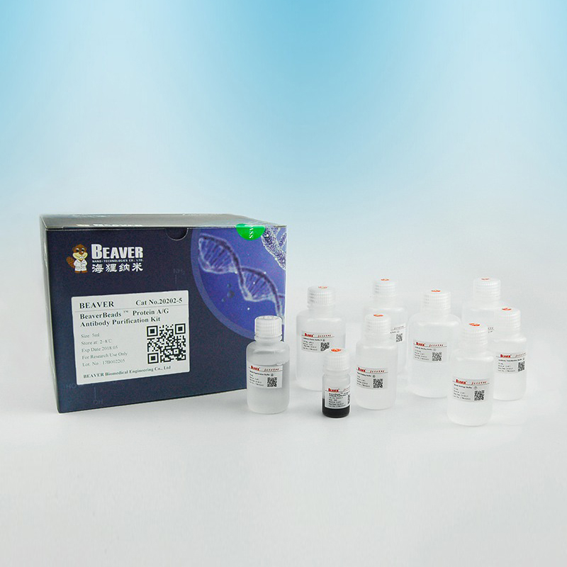 20202-5 Protein A/G抗体纯化试剂盒 - BEAVER(海狸)