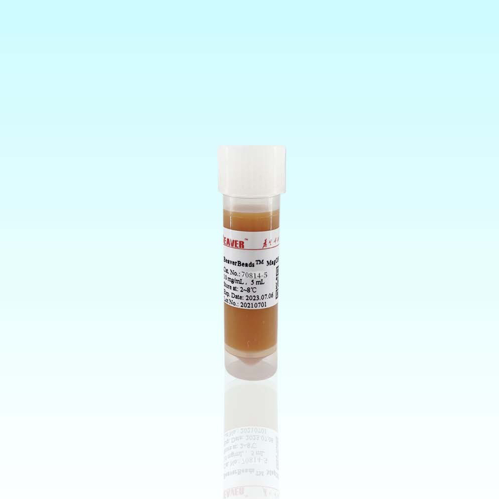 70814-5 Protein A琼脂糖磁珠 - BEAVER(海狸)