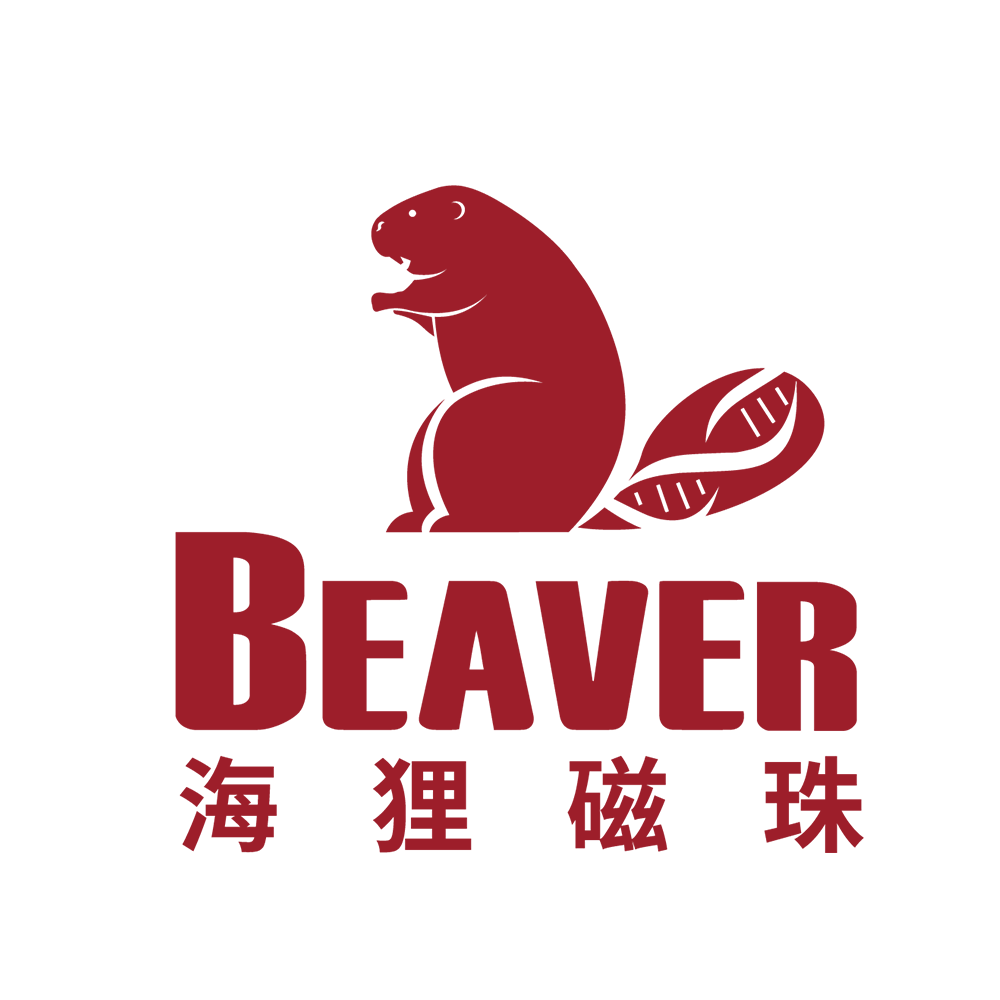 70706-10 NHS磁珠(300nm) - BEAVER(海狸)