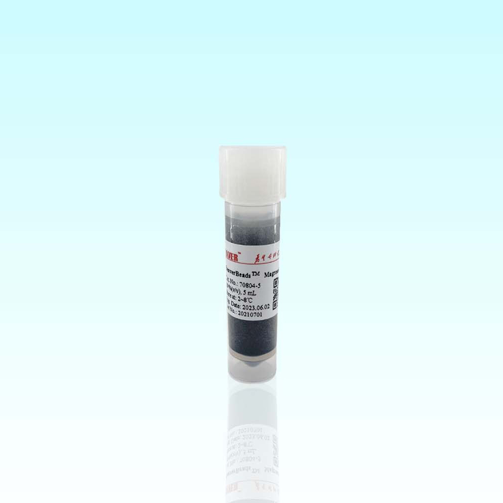 70804-5 Protein A琼脂糖磁珠 - BEAVER(海狸)