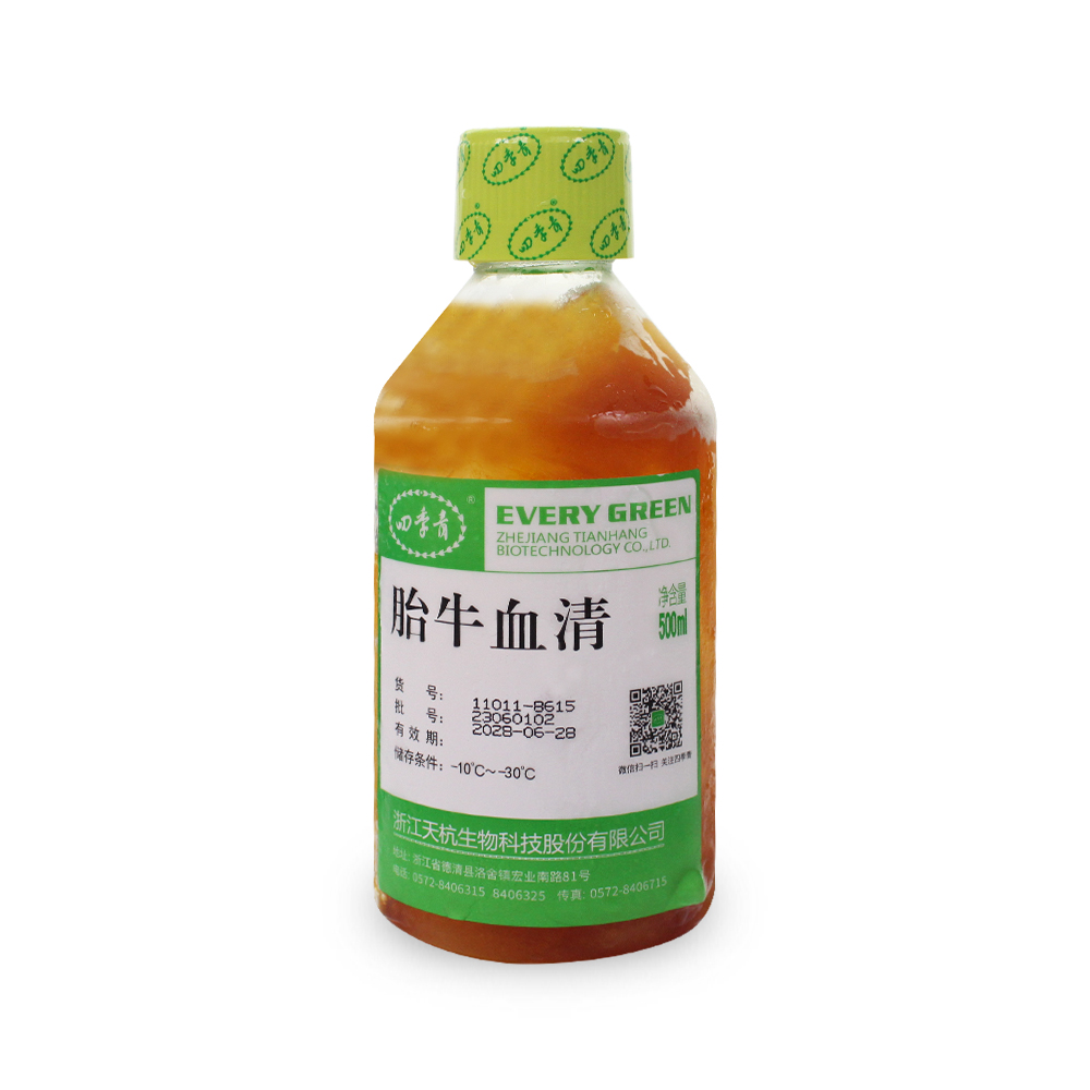 11011-8615 无噬菌体低内毒素优级胎牛血清 - 四季青