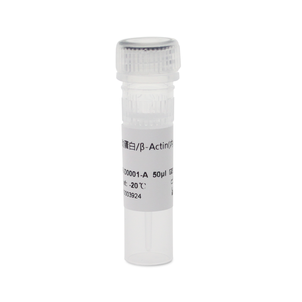 BOAR-D0001-A β-Actin Rabbit Polyclonal 内参抗体 - Biosharp/白鲨