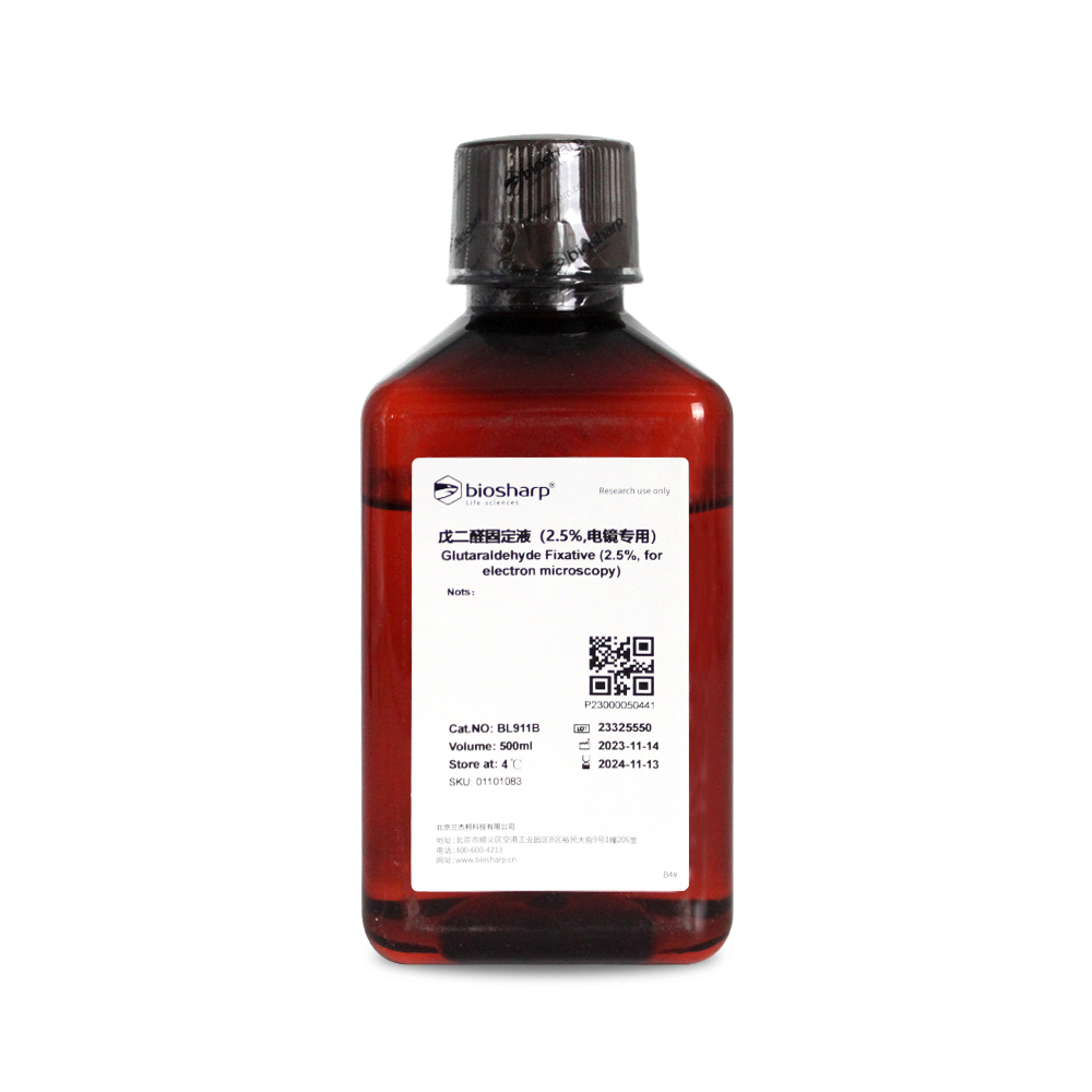 BL911B Gluta固定液(电镜专用,2.5%)