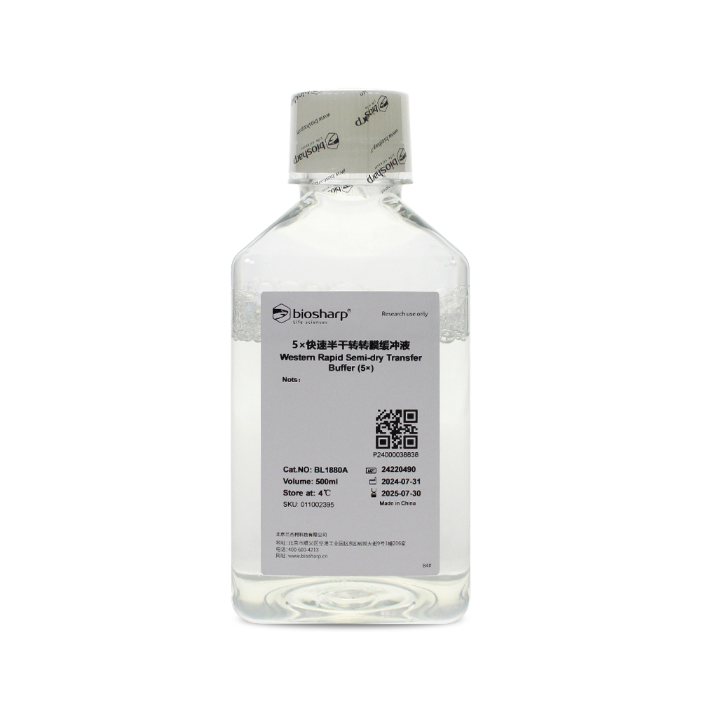 BL1880A 5×快速半干转转膜缓冲液