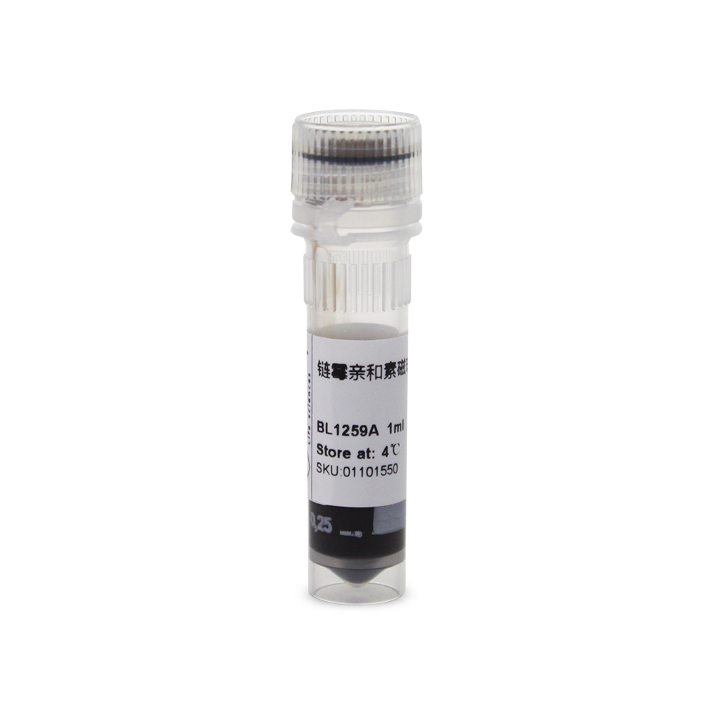BL1259A Streptavidin Magnetic Beads,1μm (链霉亲和素磁珠, 1μm)