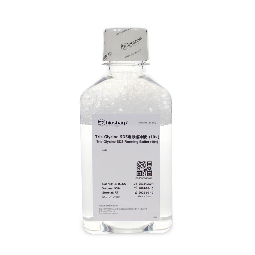 BL1566A Tris-Glycine-SDS电泳缓冲液(10×)