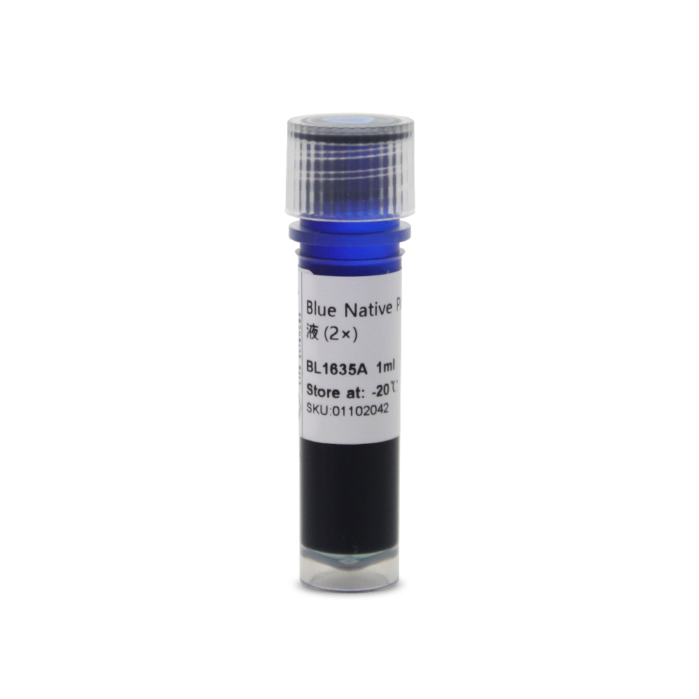 BL1635A Blue Native PAGE蛋白上样缓冲液 (2×)