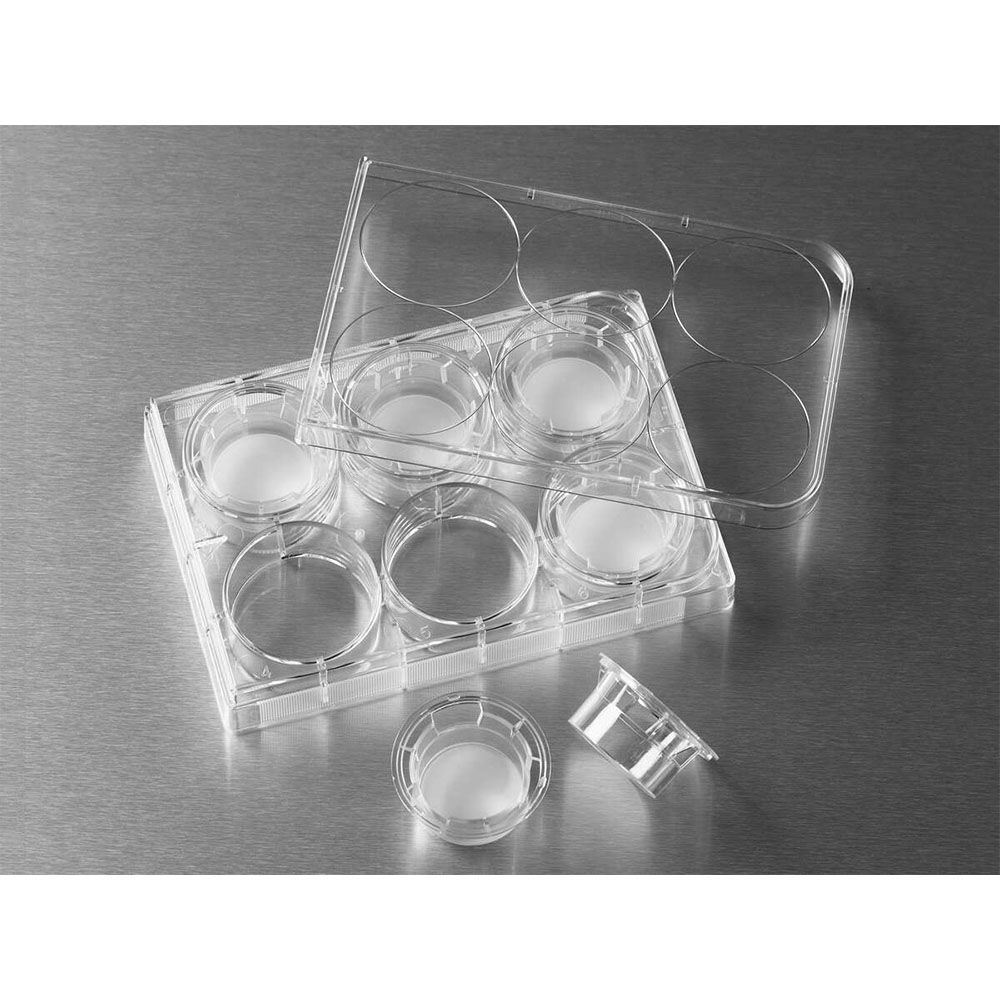 3412 Transwell嵌套，含6孔板（PC膜，24mm，0.4um) - Corning/康宁