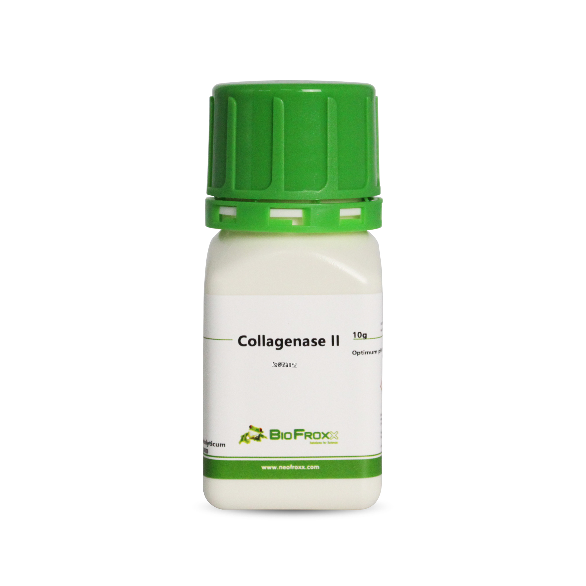 2275GR010 胶原酶II型Collagenase II 2-8度
