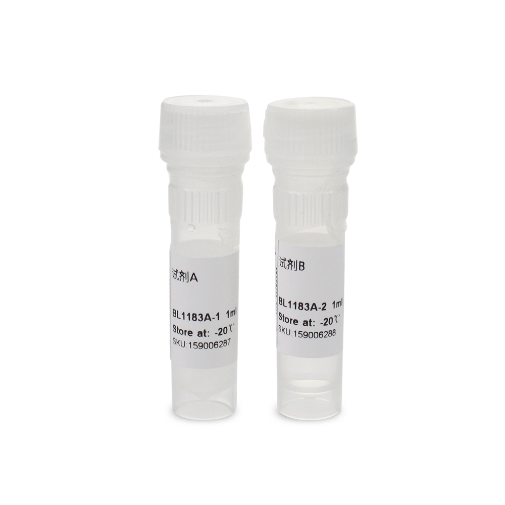 BL1183A 蛋白酶抑制剂(细菌抽提用, 100X)