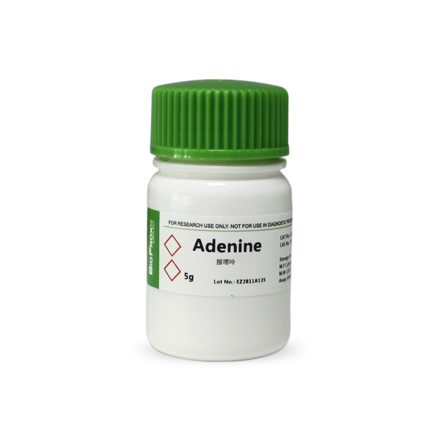 1163GR005 腺嘌呤Adenine