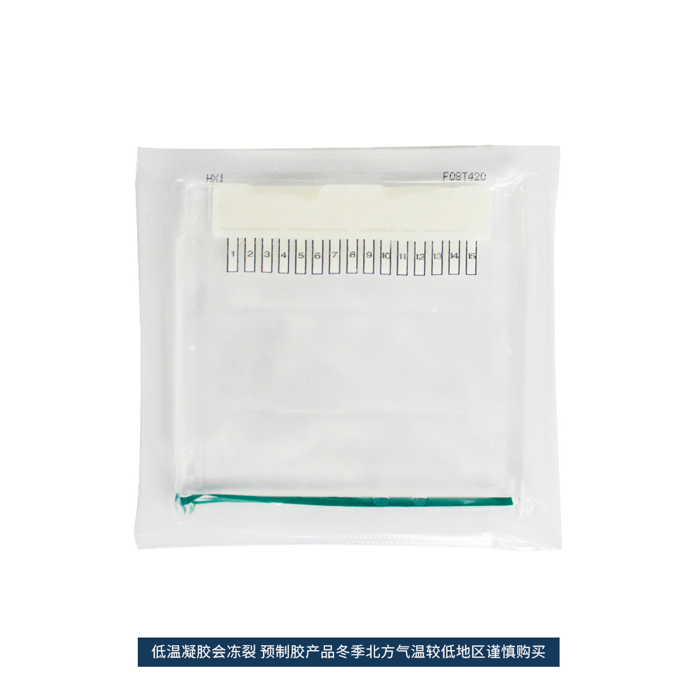 BL1004A 蛋白预制胶Tris-Gly, 15％, 15孔, 1.0 mm（塑料胶板）