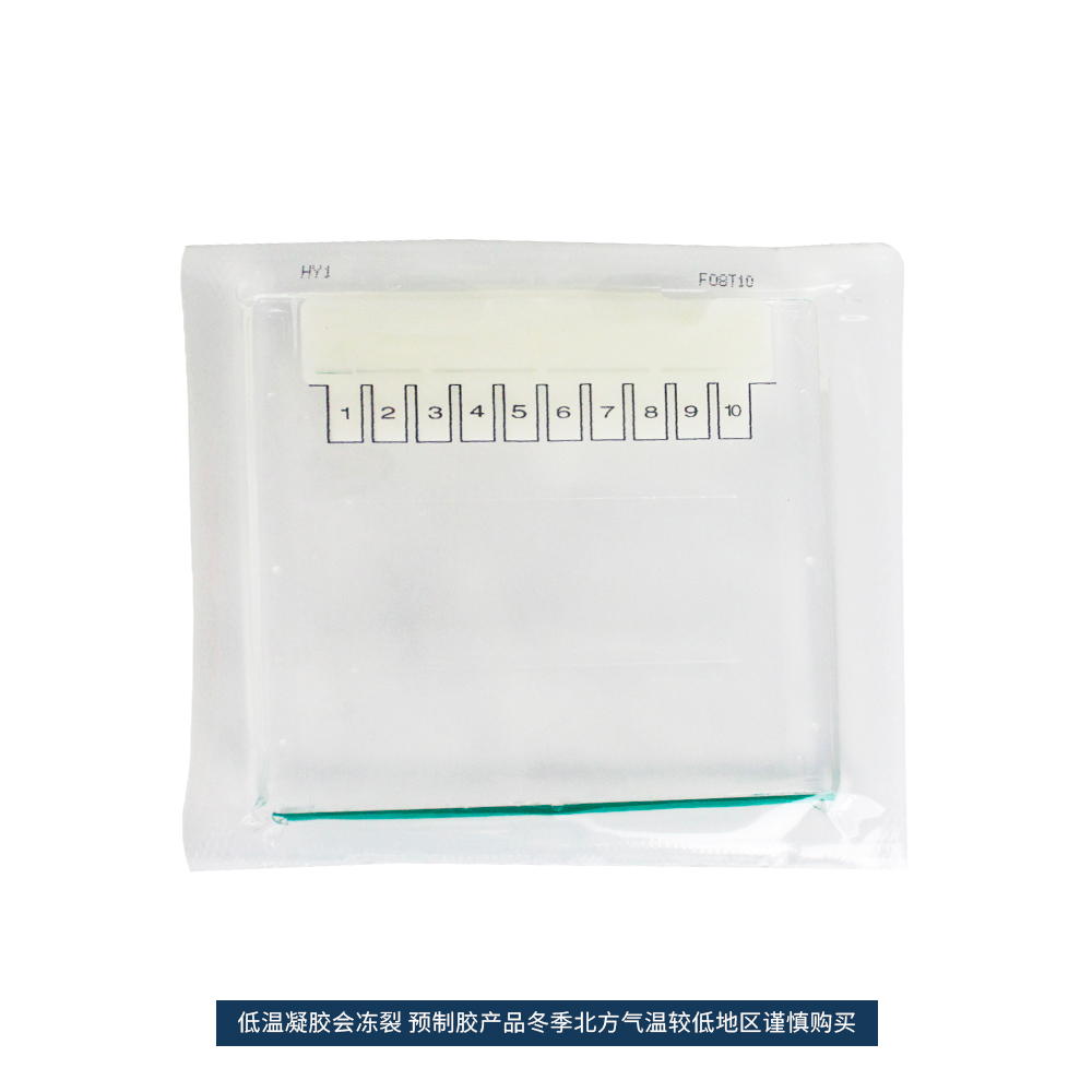 BL1005A 蛋白预制胶Tris-Gly, 4-15％, 10孔, 1.0 mm（塑料胶板）