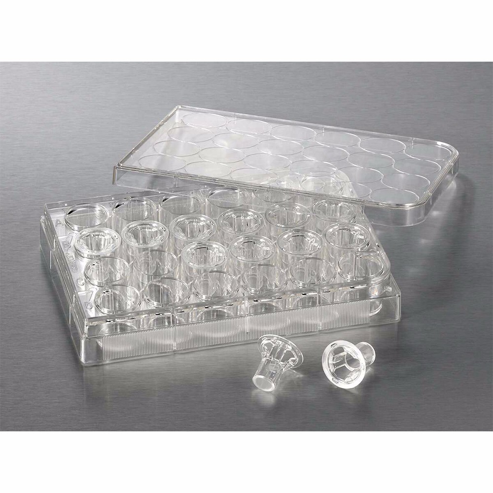 3413 Transwell嵌套，含24孔板 (PC膜，6.5mm，0.4um) - Corning/康宁