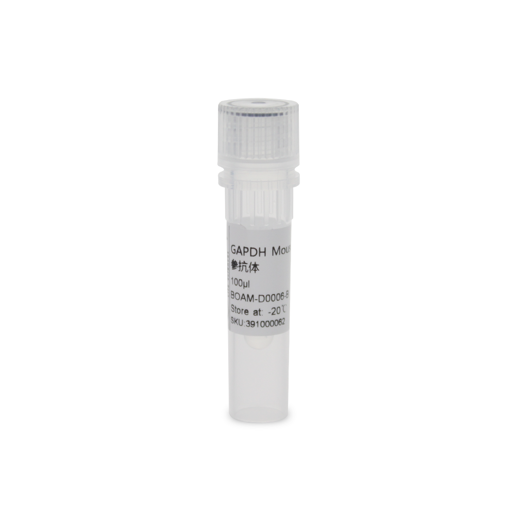 BOAM-D0006-B GAPDH Mouse Monoclonal 内参抗体 - Biosharp/白鲨