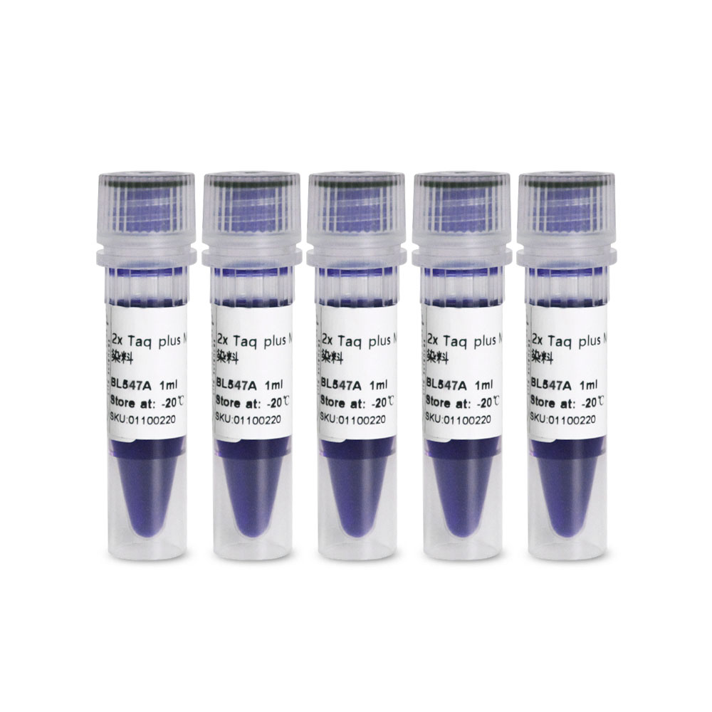 BL547B 2×Taq plus PCR Master Mix 含蓝色染料 - Biosharp/白鲨