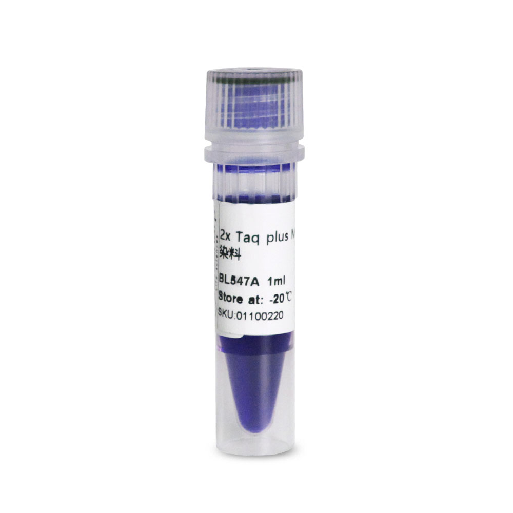 BL547A 2×Taq plus PCR Master Mix 含蓝色染料